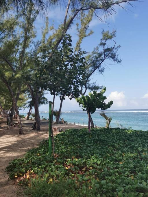 圣吉尔莱班Beau T3 Litchi Vue Ocean Piscine公寓 外观 照片