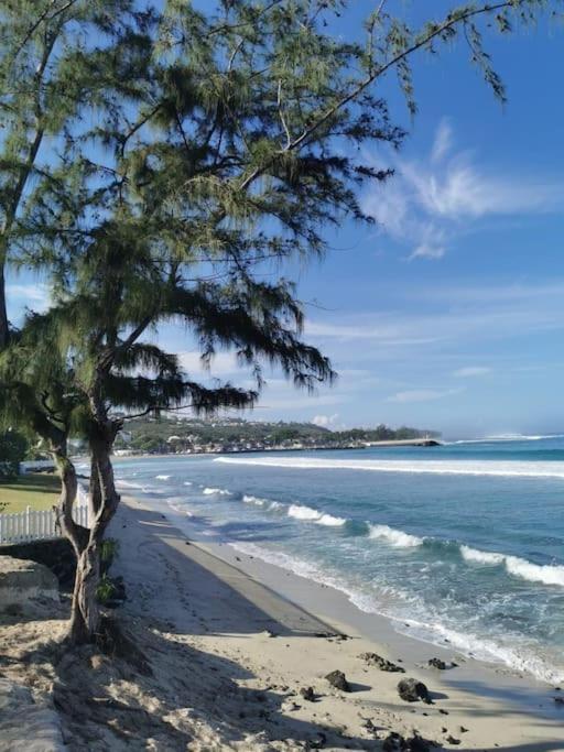 圣吉尔莱班Beau T3 Litchi Vue Ocean Piscine公寓 外观 照片